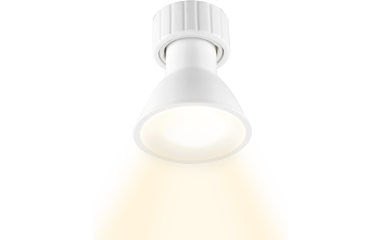 LED-Leuchtmittel ITIUS, GU10, 4,8W, 500 Lumen RGB + CCT, matter über Thread