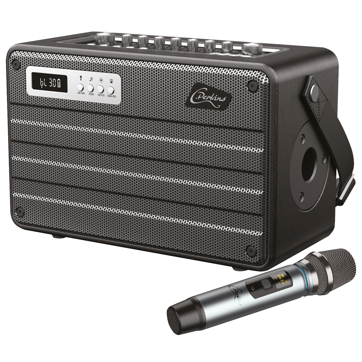 Mobile Beschallungsanlage C.PERKINS ''ROADY FL'' All-in-one-Combo mit Funkmikrofon