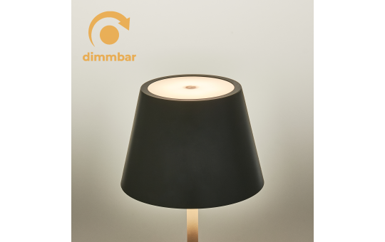 LED-Tischleuchte ROLF KERN „Club Mini“ 25cm, Basaltgrau, Akku, dimmbar