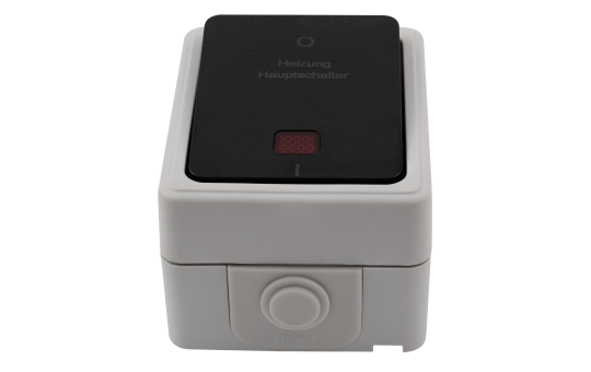 Feuchtraum Heizungs Hauptschalter McPower ''Taff'', 250V~/10A, IP44, AP, grau