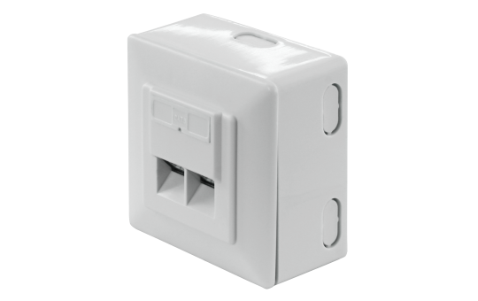 Netzwerkdose, Aufputz, CAT 6, 2x RJ45