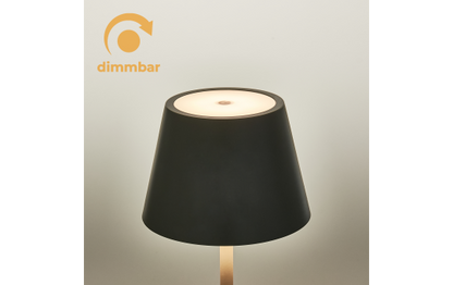 LED-Tischleuchte ROLF KERN „Club Mini“ 25cm, Basaltgrau, Akku, dimmbar